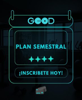 Plan Semestral