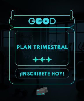 Plan Trimestral